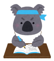 Animal studying (koala)