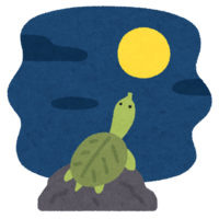 Moon and soft-shelled turtle