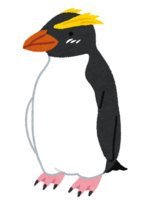 Fjordland penguins