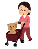 Person pushing a pet cart (dog)