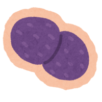 Streptococcus pneumoniae