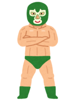Professional wrestler wearing a mask