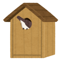 巣箱に入る小鳥