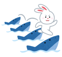 Inaba's white rabbit (shark)