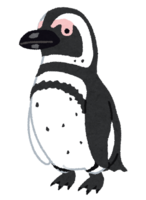 マゼランペンギン