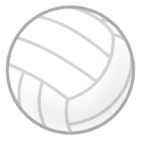 Volleyball (white)