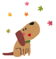 Autumn leaves (dog)