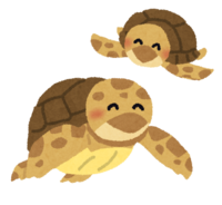Sea turtle parent and child