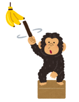 Chimpanzee using tools