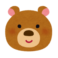 Bear face