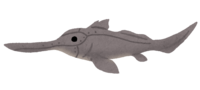テングギンザメ