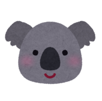 Koala's face