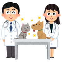 獣医と犬と猫
