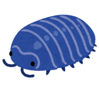 Blue pill bug