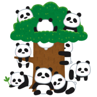 Panda base