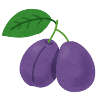 Prune (fruit)