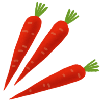 Kintoki carrot (Kyoto vegetables)