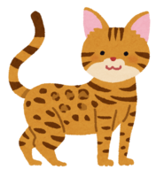 Bengal (cat)