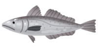 メルルーサ(魚)