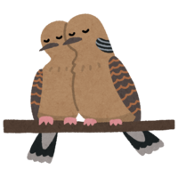 Pair of turtle doves
