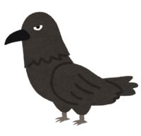 Crow (bird)