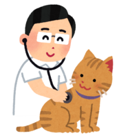 猫を検診する獣医