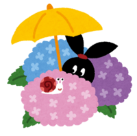紫陽花とカタツムリ(ぴょこ)