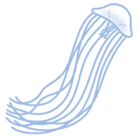Gearman jellyfish