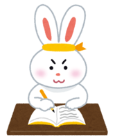 Animal studying (rabbit)