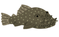 Bushymouth catfish