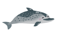 斑海豚