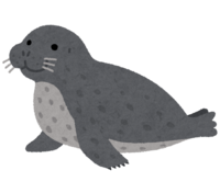 Spotted seal