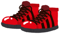 basketball shoes (shoes)