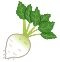 sugar beet (vegetables)
