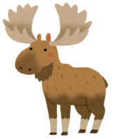 elk