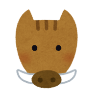 Face of wild boar