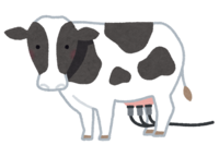 Milked cow