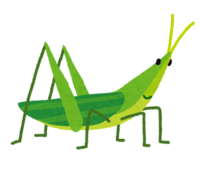 Shoryo grasshopper
