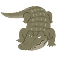 Crocodile (crocodile)