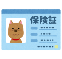 Pet insurance card (dog)