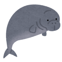 Steller's sea cow