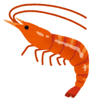 Red shrimp