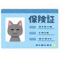 Pet insurance card (cat)