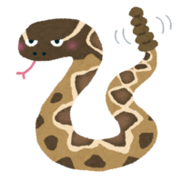 rattle snake