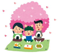 Cherry-blossom viewing (Picnic with family)