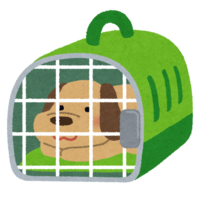 Dog in a carry cage