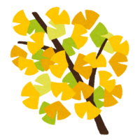 Ginkgo branch