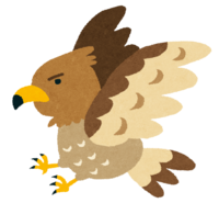 Hawk-Taka (animal)