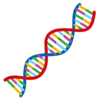 DNA