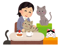 Cat cafe